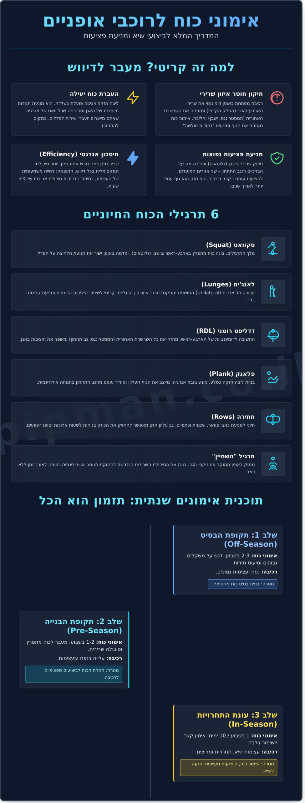 תרגילי כוח לרוכבי אופניים: המדריך המקצועי לשיפור ביצועים ומניעת פציעות (2026) - Infographic