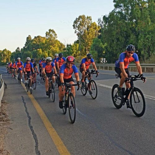 אופניים 1 (Large)